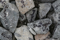 Naghmeh-Pascual-Narme-IMG_0698-1