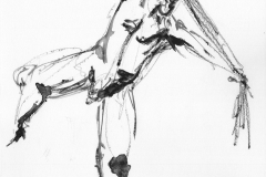 narme_dessin_46-1-1
